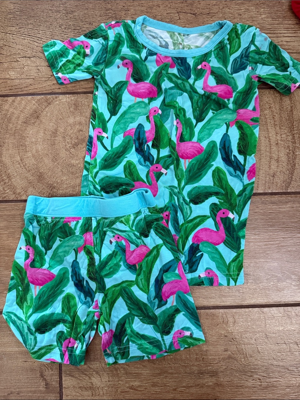 Little Sleepies Aqua & Pink Flamingo Short Pajama Set